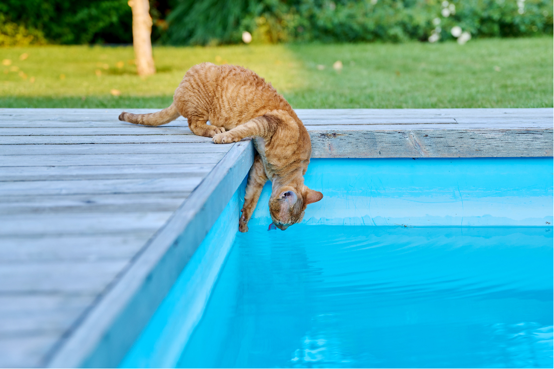 Borate in Swimming Pools: An Alternative Approach to Pool Maintenance