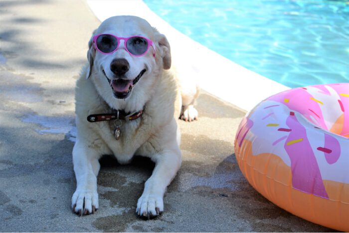 Pool Alkalinity: The Unsung Hero of Pool Chemistry
