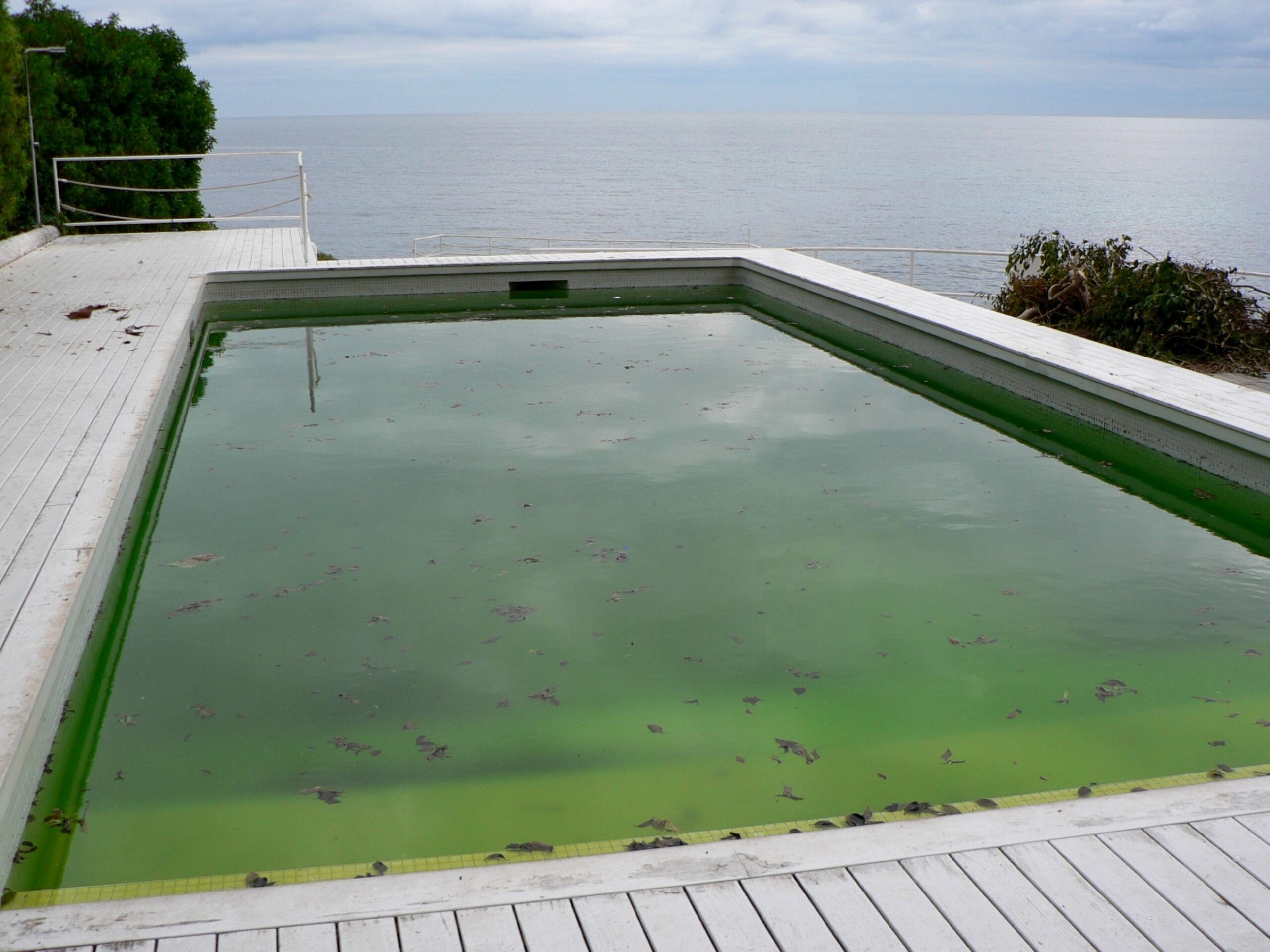 Clearing the Green: A Homeowner’s Guide to a Sparkling Swimming Pool