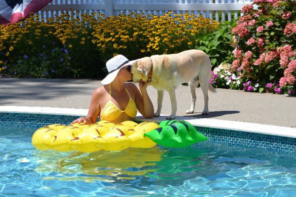 Fiberglass Pools: Weighing the Pros and Cons for First-Time Pool Owners