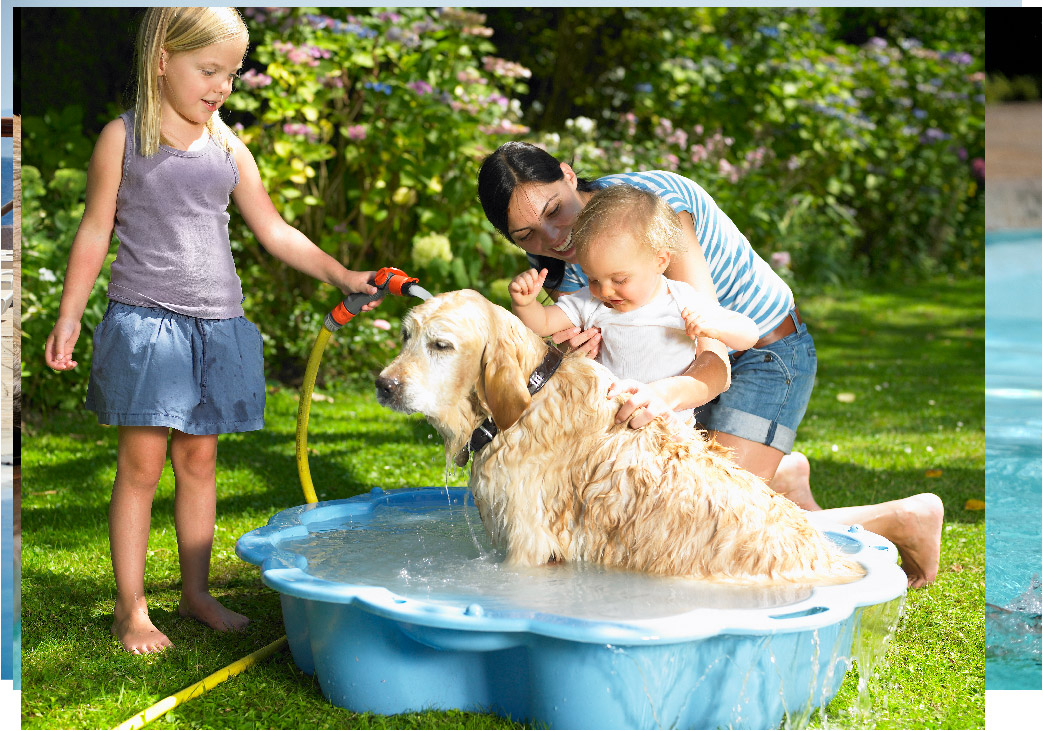 Blond Hair Turning Green in the Pool: Causes, Prevention, and Solutions