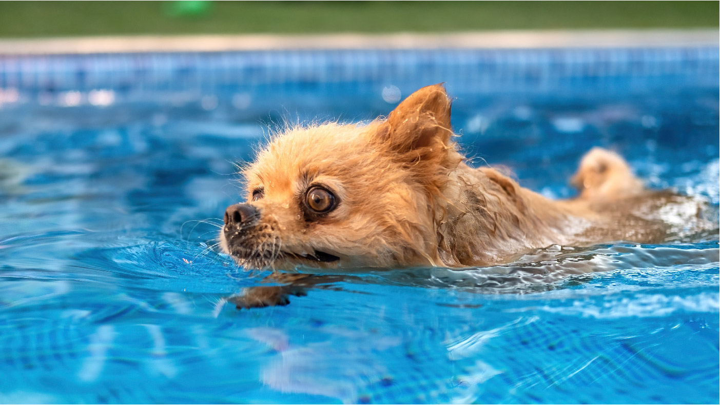 Removing Wrinkles from a Pool Liner: Causes and Solutions for Homeowners