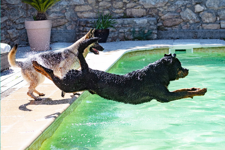 Swimming Pools and Itchy Skin: Causes, Treatment, and Prevention