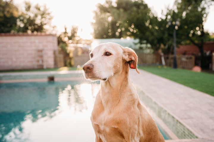 Changing Your Pool Light Bulb: A Step-By-Step Guide for a Safe and Efficient Replacement