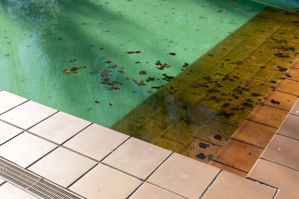 Dealing with Black Spots in Your Pool: Causes and Solutions