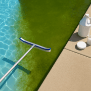 Pool algae treatment guide