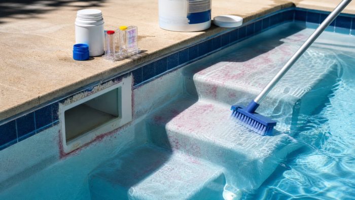 Pink Slime in Pool: What Causes It and How to Get Rid of It