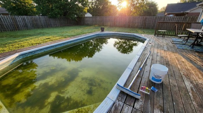 Pool Water Turns Green Overnight: What Happened and How to Fix It Fast