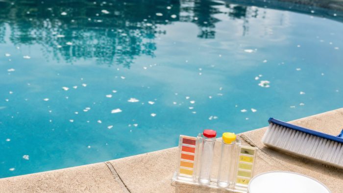 White Flakes in Pool Water: What They Are and How to Get Rid of Them